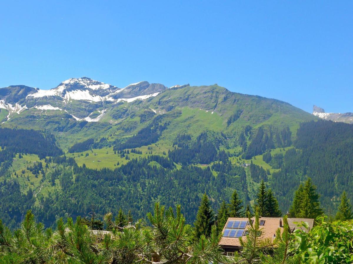 Chalet Zwaergli By Interhome Wengen Dış mekan fotoğraf