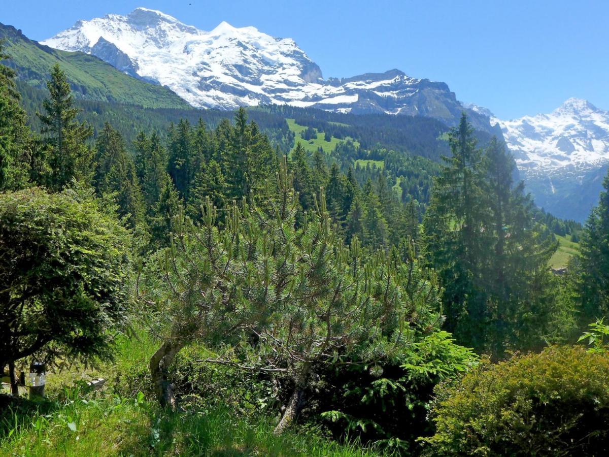 Chalet Zwaergli By Interhome Wengen Dış mekan fotoğraf