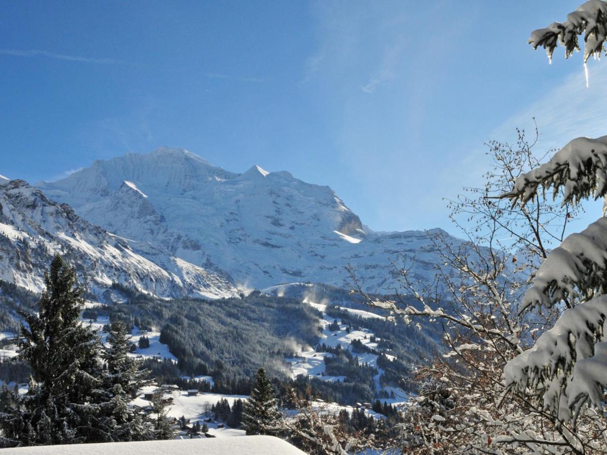 Chalet Zwaergli By Interhome Wengen Dış mekan fotoğraf